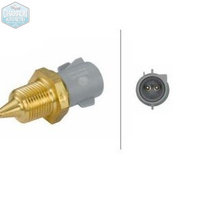 Sonde température d'eau pour gestion injection | V6 2.9, OHC Pinto, DOHC, CVH | 814i55507DEF