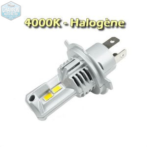 Ampoule H4 LED -- Couleur Halogène - 4000K - 10000 lumens - La Paire