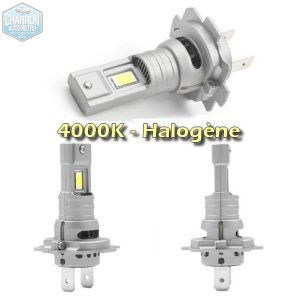 Ampoule H7 LED -- Couleur Halogène - 4000K - 10000 lumens -- La Paire