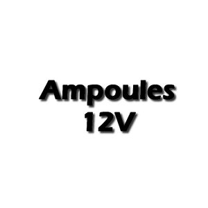 Ampoules LED 12V