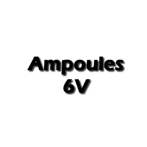Ampoules LED 6V