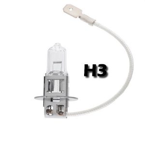 Ampoules H3