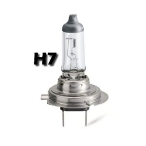 Ampoules H7
