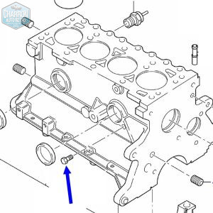 Bouchon bloc cylindre Moteur Endura HCS | 1/8" | Ref : 1552877