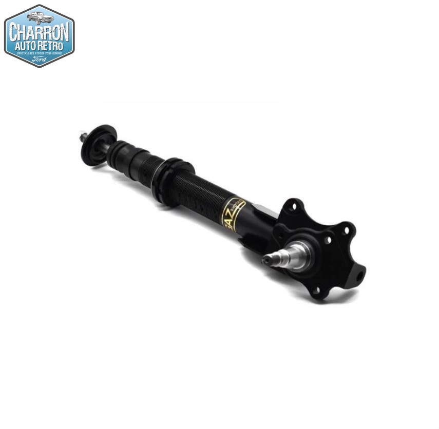 Amortisseurs combinés filetés - La paire | Gaz Shock | Usage route et circuit occasionel | Ressorts inclus | Ford Capri - Ford Escort
